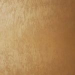 Safari Textured Paint