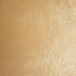 Safari Textured Paint