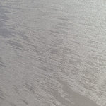 Safari Textured Paint