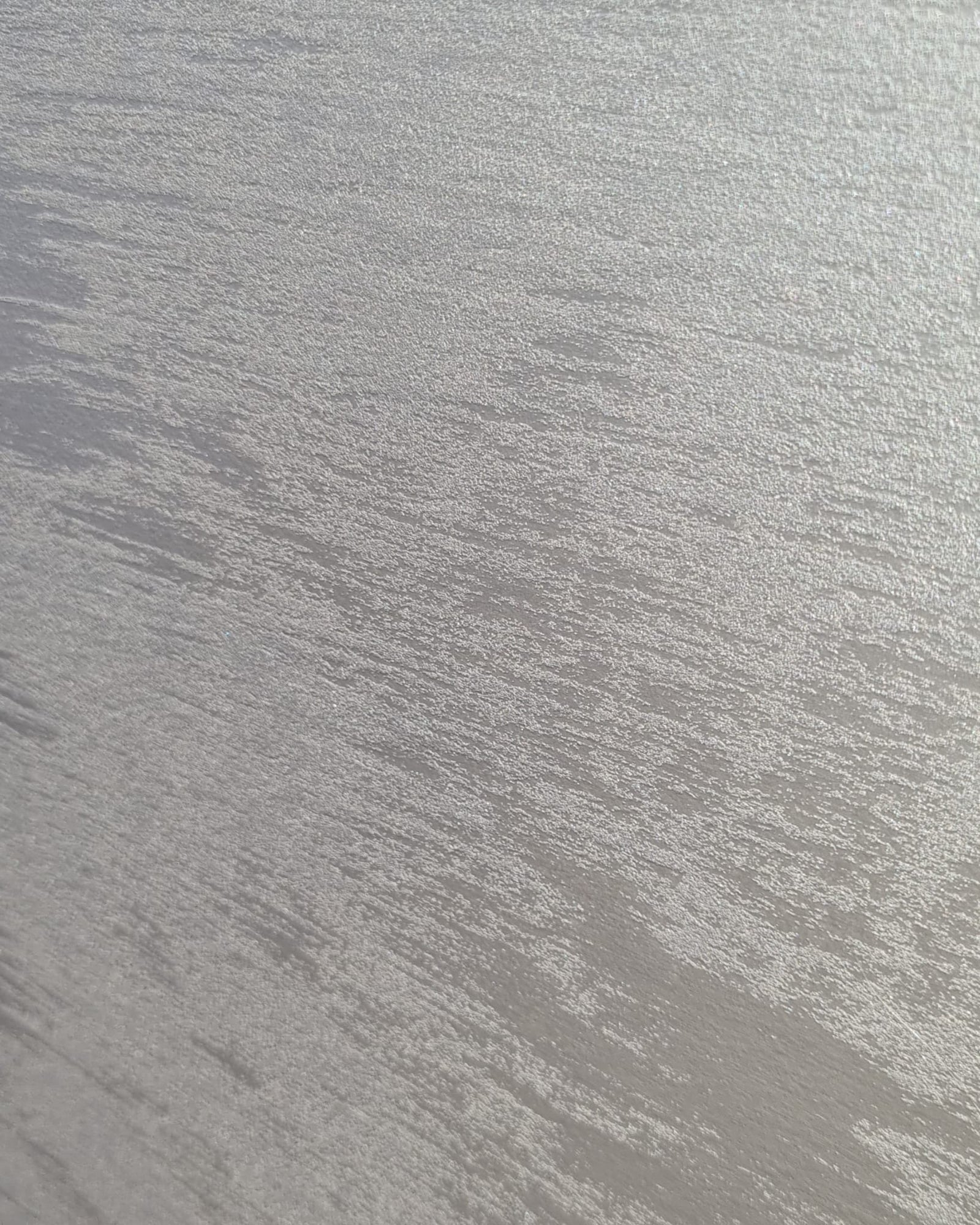 Safari Textured Paint