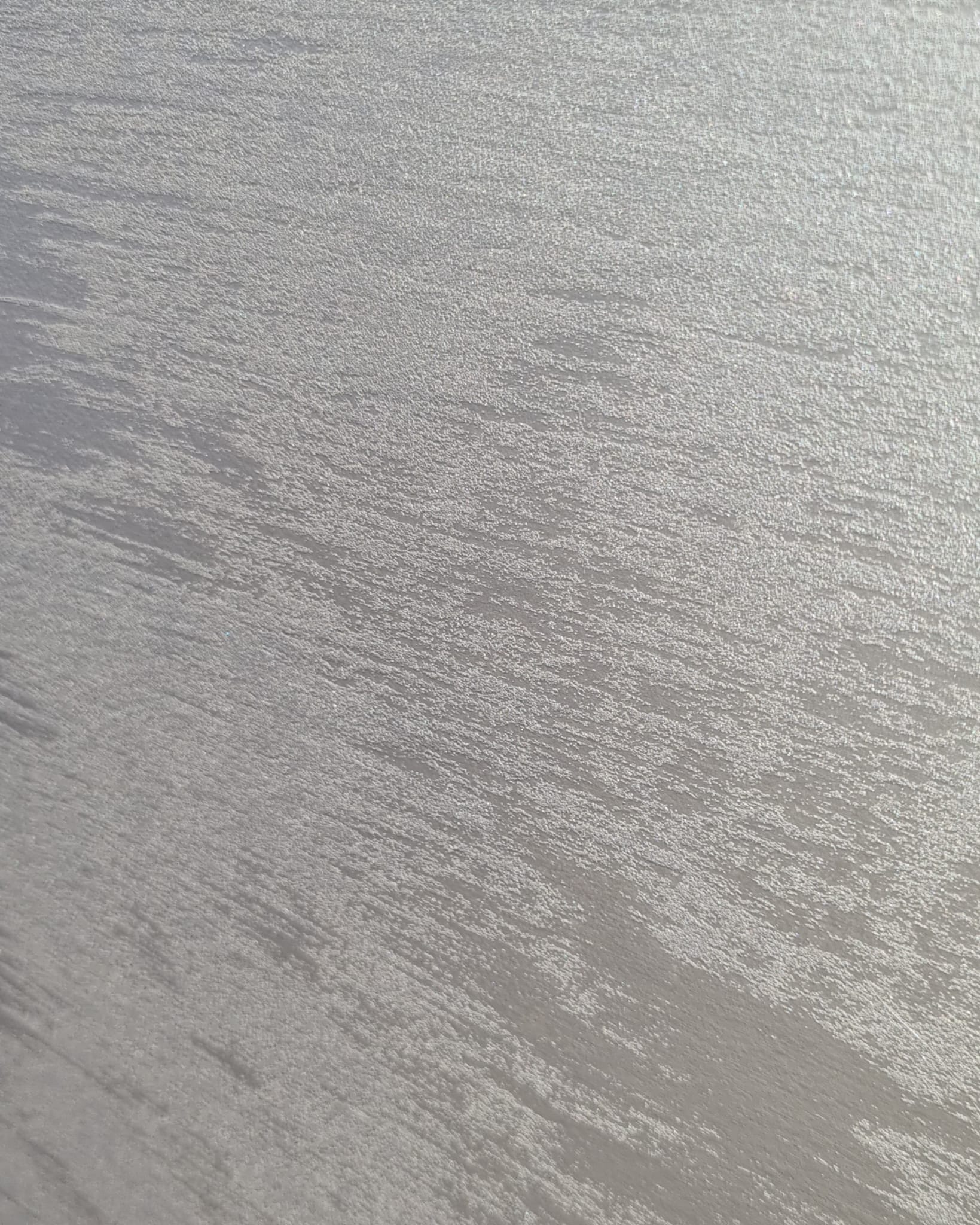 Safari Textured Paint